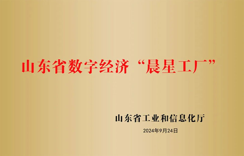 31139f9d5e3035352df19c54f677eee4